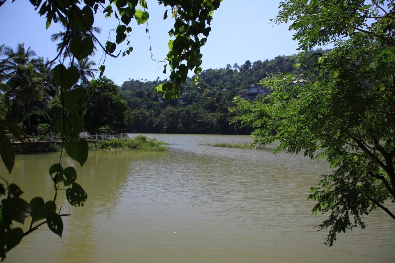 Отель Mahaweli Shades Канди Экстерьер фото